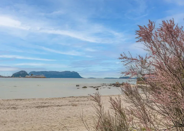 Blue Pearl With Sea View - Happy Daire Marinella (Sardinia)